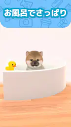 わんこと私 - 子犬のペット育成ゲーム 5