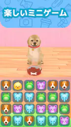 わんこと私 - 子犬のペット育成ゲーム 7