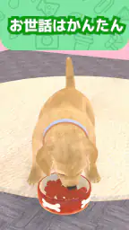 わんこと私 - 子犬のペット育成ゲーム 8