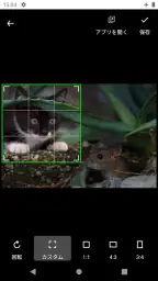 アルバム - 写真整理 7