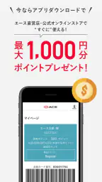 エース公式 2