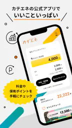 カテエネ 1