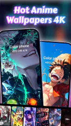カラー電話：画面のテーマを呼び出します 4