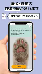 【カルテコ】自律神経の計測・未来予測・健診結果・カルテ 3
