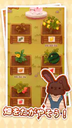 チャッケビ茶屋 5