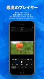 トルミル - 動画ダウンロードとバックグラウンド再生 5