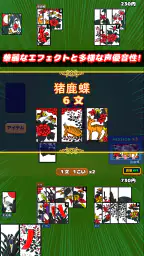 ビキニ花札 4