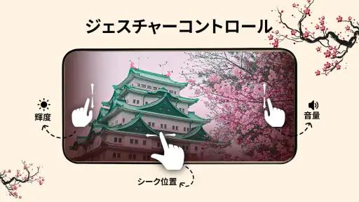 フルHDビデオプレーヤーすべてのフォーマット 6