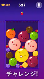 ブロックパズル（古典版） 5