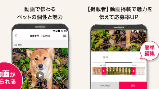 ペットのおうち 3