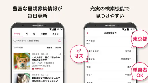 ペットのおうち 6