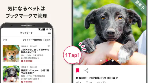 ペットのおうち 7