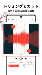 ボイスレコーダー: 簡単ボイスメモ, 音声録音 3