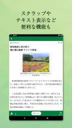 下野新聞デジタル 6