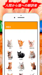 人猫語翻訳機 3