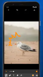 写真ペイント 7
