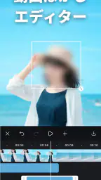 動画ぼかし - モザイク 1