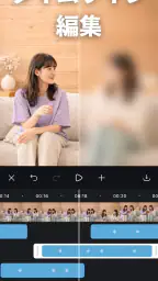 動画ぼかし - モザイク 4