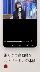 地デジテレビ - 日本の地上波番組をライブ視聴 screenshot