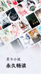 墨斗小说: 网文小说大全.追书.搜书.全本小说 6
