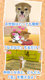 子犬のかわいい育成ゲーム - 癒しの犬育成アプリ 7