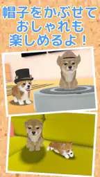 子犬のかわいい育成ゲーム - 癒しの犬育成アプリ 8