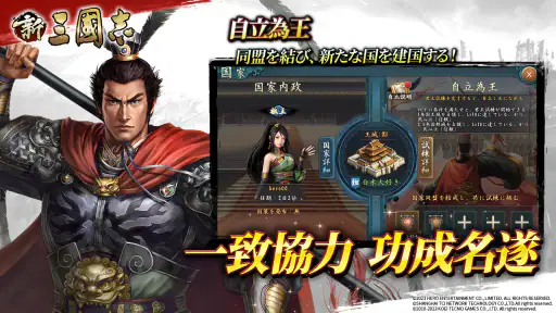 新三國志:コーエーテクモゲームス正式ライセンス 6