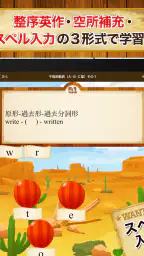 早打ち英文法(中学英語・高校英語の英文法) 8