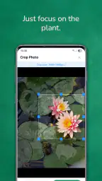 植物 写真 名前 調べる 無料 3