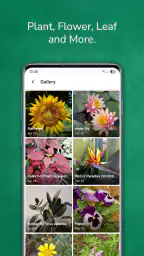 植物 写真 名前 調べる 無料 4
