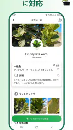 植物識別子 2