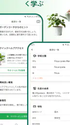 植物識別子 3