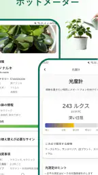 植物識別子 4