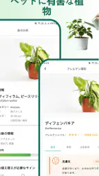 植物識別子 5