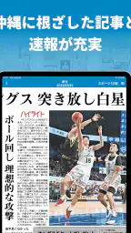 沖縄タイムス 電子版 5