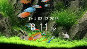 熱帯魚育成「ミニアクア」癒しのアクアリウム体験 screenshot