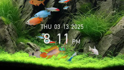 熱帯魚育成「ミニアクア」癒しのアクアリウム体験 1