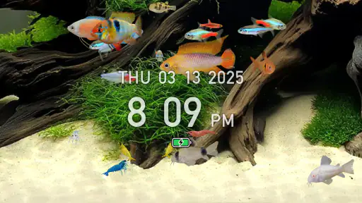 熱帯魚育成「ミニアクア」癒しのアクアリウム体験 6