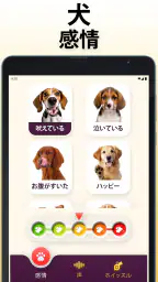 犬語翻訳アプリ: 犬の言葉がわかるアプリ 7