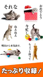 猫スタンプ（実写スタンプ） 3