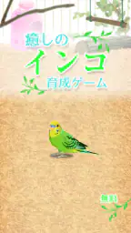 癒しのインコ育成ゲーム 1