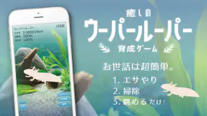 癒しのウーパールーパー育成ゲーム screenshot