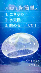 癒しのクラゲ育成ゲーム - 無料放置育成ゲーム 8