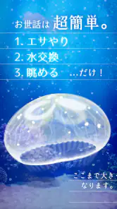 癒しのクラゲ育成ゲーム - 無料放置育成ゲーム screenshot