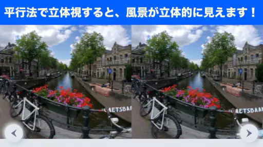 立体視で視力回復トレーニング 1