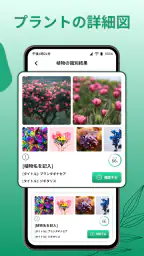 花の名前を調べる: しょくぶつ図鑑 - 樹木判別 4