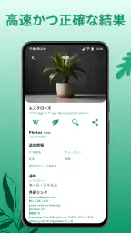 花の名前を調べる: しょくぶつ図鑑 - 樹木判別 5