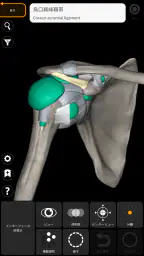 解剖学 - 3Dアトラス 4
