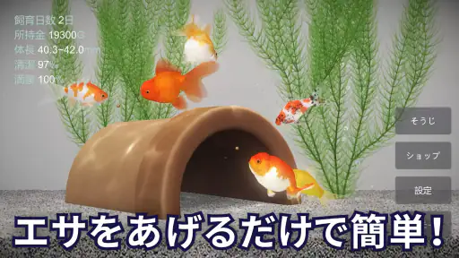 金魚育成アプリ・ポケット金魚 2