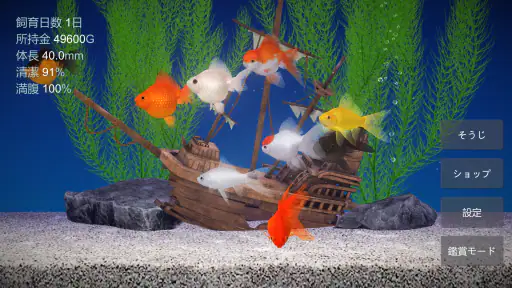 金魚育成アプリ・ポケット金魚 4